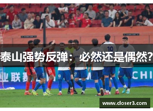 泰山强势反弹：必然还是偶然？